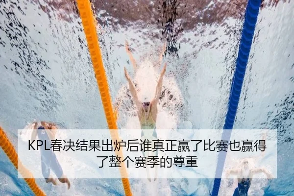KPL春决结果出炉后谁真正赢了比赛也赢得了整个赛季的尊重